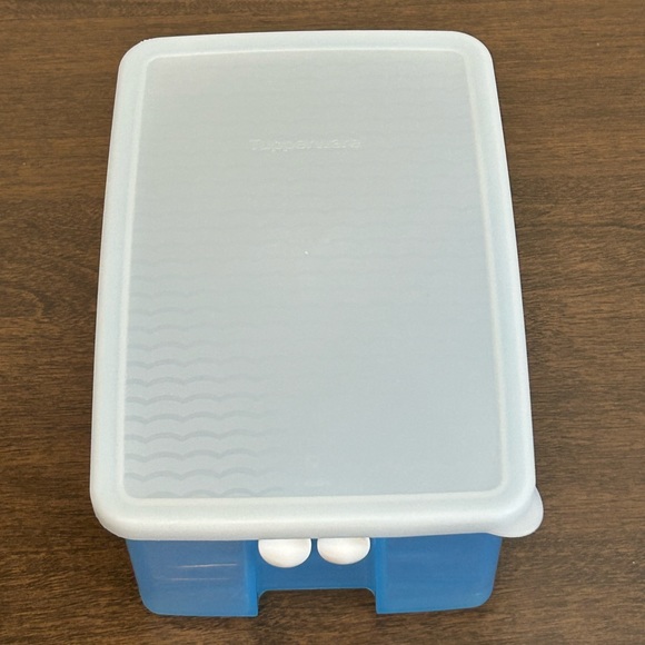 TUPPERWARE FRIDGESMART MEDIUM VENTED VEGGIE FRUIT KEEPER - Picture 6 of 14